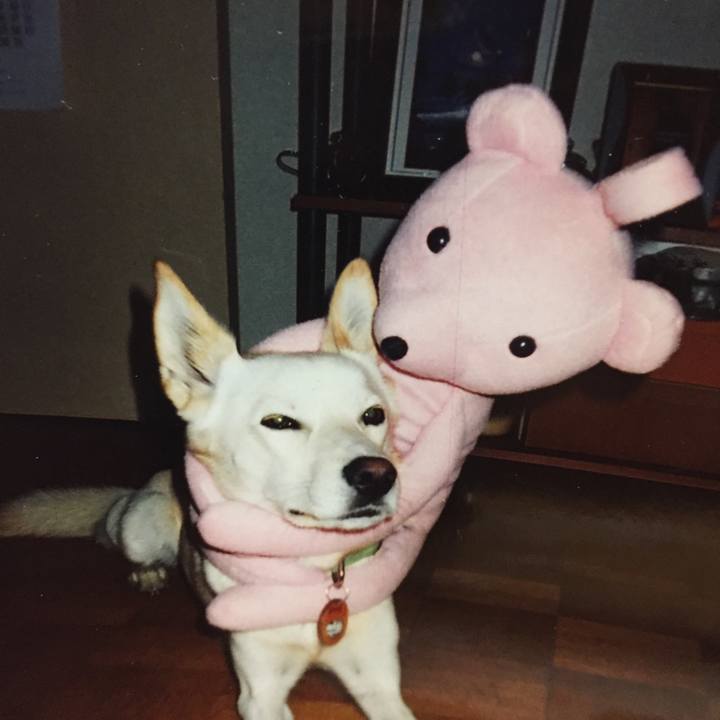 Ed504090 3487 430f b74c 2690aa643ef1 1573475716347