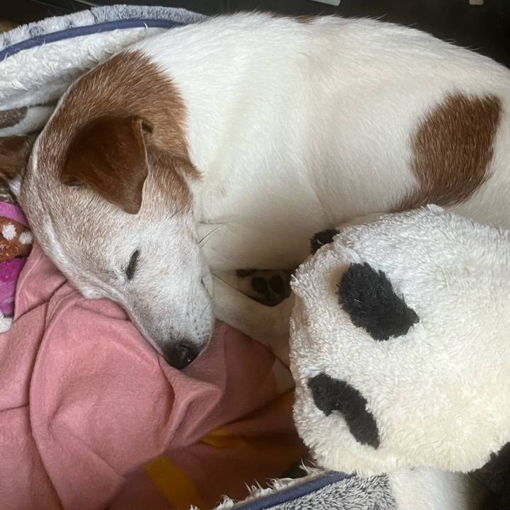 Ed5049e5 3aed 4bd1 9c9b e14032efa6e2 1762647833183