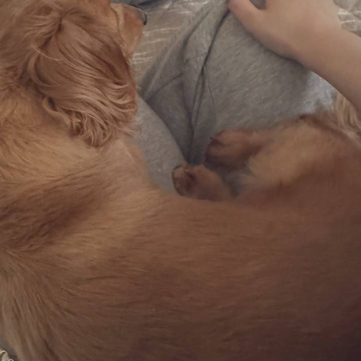 Ed5056fc 911b 4560 8697 80d4529acf48 1754578233008