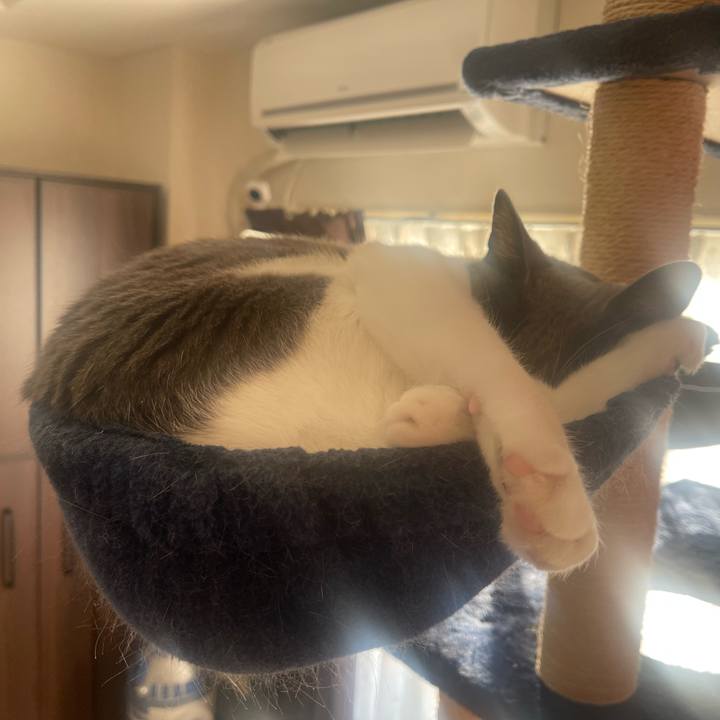 Ed5064b7 d6ce 44eb 8893 eeed978f1896 1670800662930