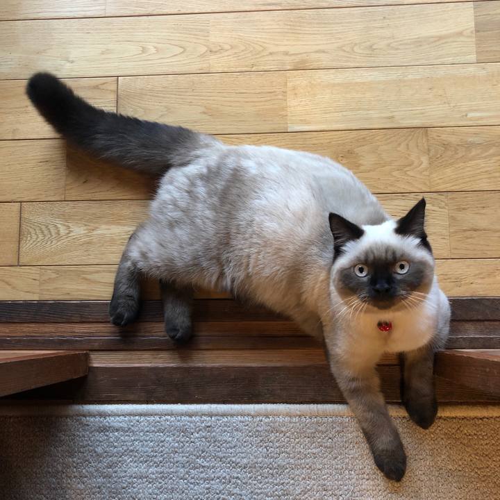 Ed509fb4 901a 417f a51a 8a4393425eee 1595237110482