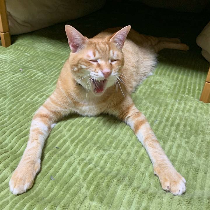 Ed50c09c b5d3 40f9 b7ab 1bf554b64002 1554901633894