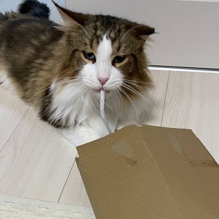 Ed50ce63 8f7d 41ad af19 67125c923b53 1668424527987