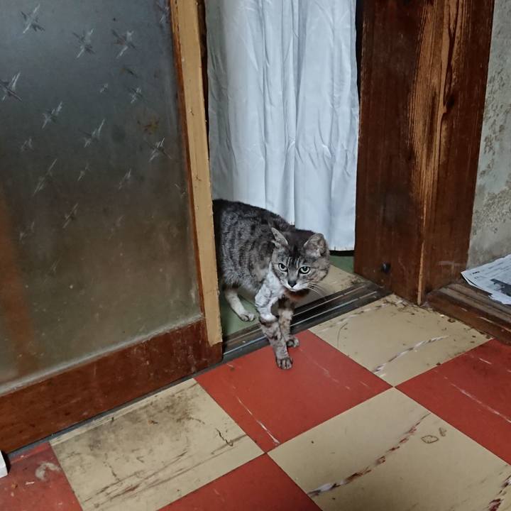 Ed510878 0f27 4704 b987 951a7e2c2bf1 1590091697208