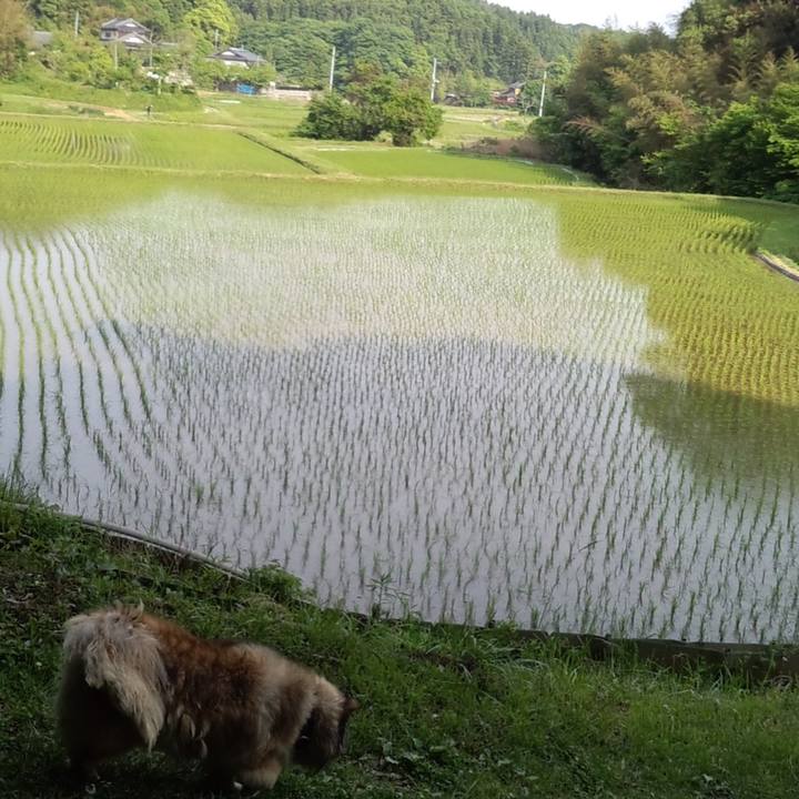 Ed51111c 5b0a 40bd 8503 4236731673c7 1585377632442