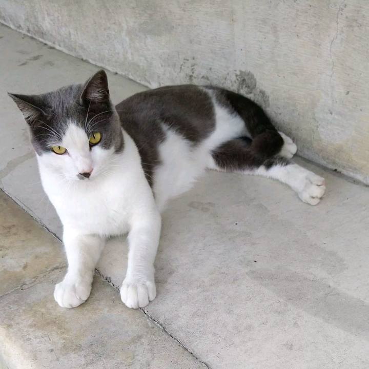 Ed5178ab 82f3 4698 baf5 e9f1b34cda42 1600744252213