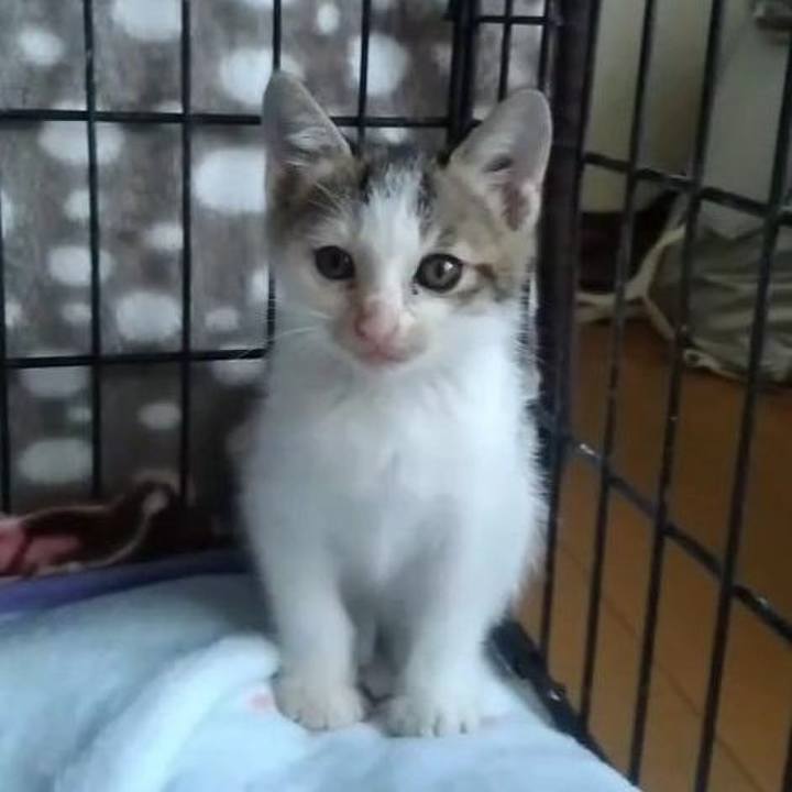 Ed51809c b2f3 434f b5cc d0a83c9d9f75 1631963274881