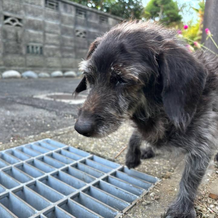 Ed51dd9d 9d44 4850 8360 d7ccd6ae2321 1760173941870