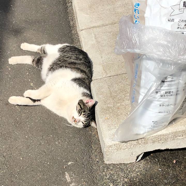 Ed5229c7 05dc 4347 9af6 31464c932e16 1550293353090