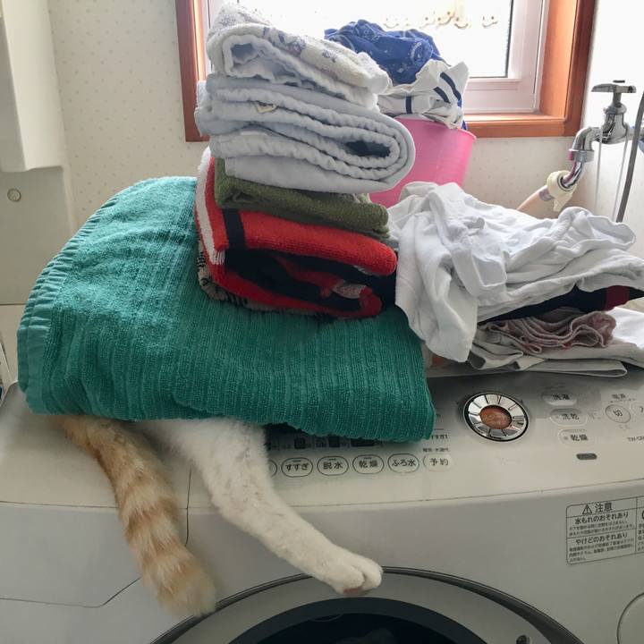 Ed525edf 3b5c 4ea5 b8d7 88a312a74b57 1528612678610