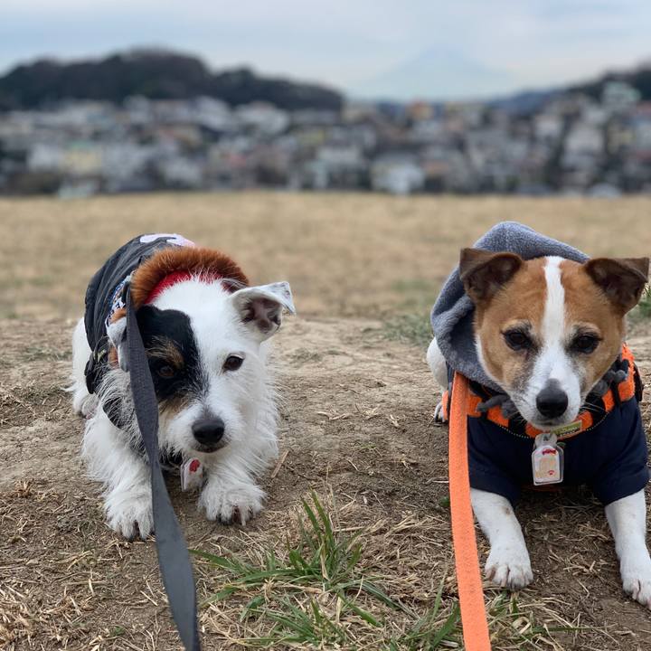 Ed52fe4b 7946 4c15 8153 0721bc246b90 1609813640260