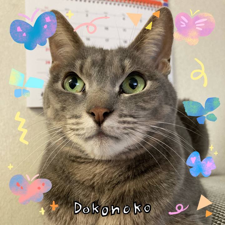 Ed5326c9 839a 4cfe 9e88 c81fcb3f122e 1711017886243