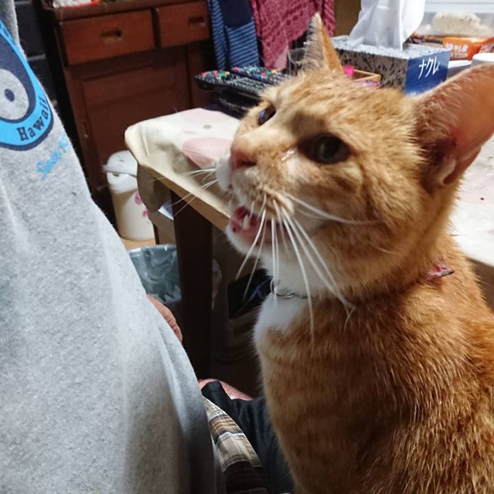 Ed534a8c 7397 48ae a593 7a9d436e382e 1604914721694