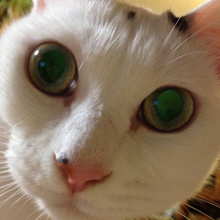 Ed5354e8 cc90 4857 b6b0 fef9f5259a3f 1507725375666