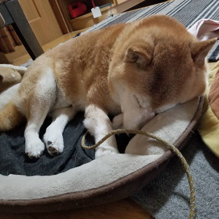 Ed5356e2 a402 43e9 8d84 c71713e413aa 1686349436441