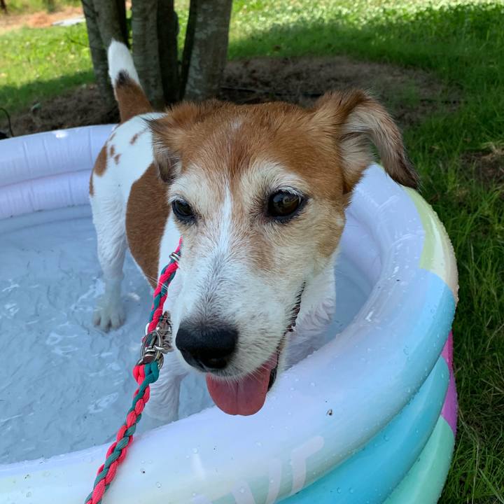 Ed53916b d100 4413 8723 756fde386948 1565915123475