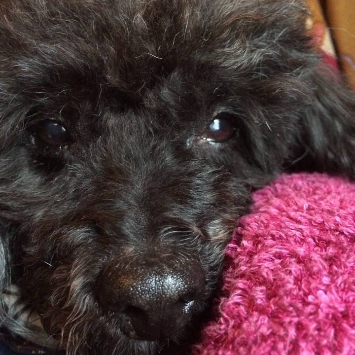 Ed53957a ee41 46c0 9431 ee8614307155 1516342280551