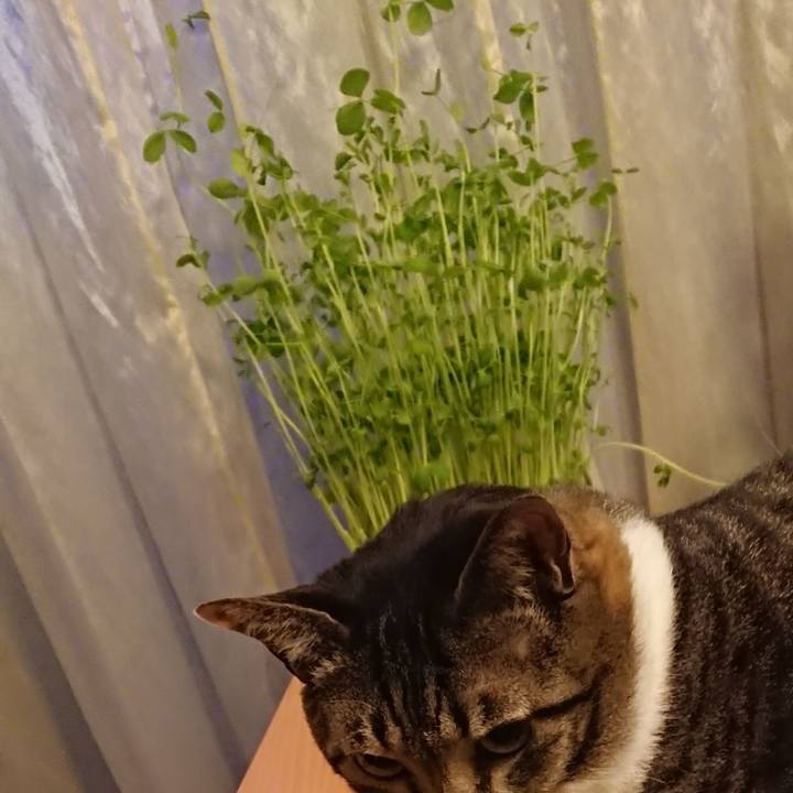 Ed53f6d1 2b08 4606 8266 434fa56cfbb6 1583631605090