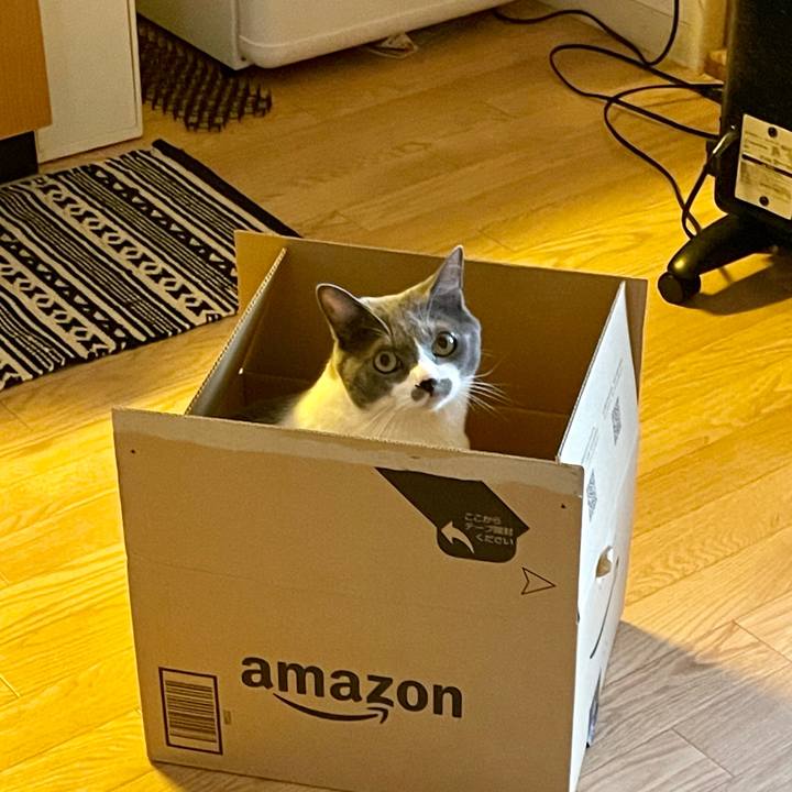 Ed53fa7b e98e 4bc5 ba5d 2f715fd3ac6f 1664351816047