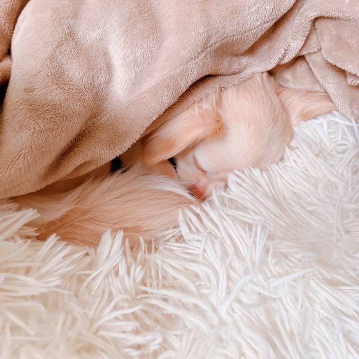 Ed5417d5 53c3 405b 8d3d ea4263c4f207 1655261006477