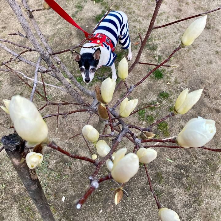 Ed54397b 0a67 4bf0 80b6 81980d385068 1615414487749