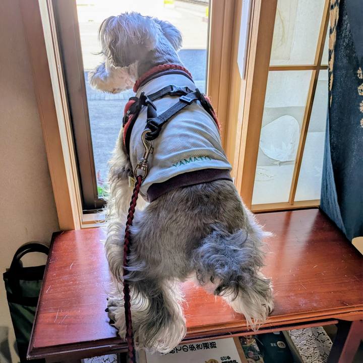 Ed54472b 8e88 4224 b61f 2b0cac153310 1760183980186