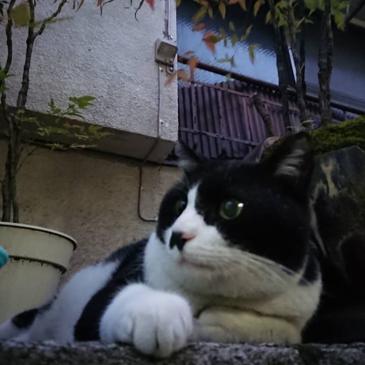 Ed54526c 3b85 432e a362 14d4531fdaf4 1530748148199