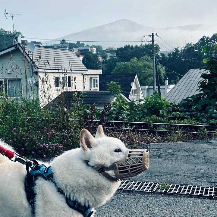 Ed5463a3 de10 462e bfd8 2d78ad9442b1 1751352711712