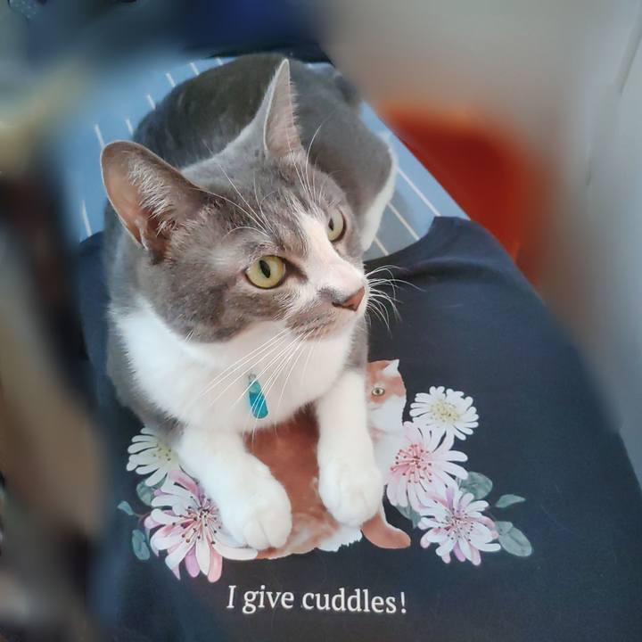 Ed5491ad b25c 4c16 a0b9 24f4ea589012 1659908454142