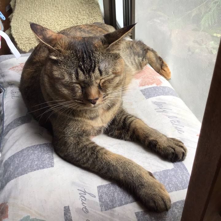 Ed54b245 20f6 42aa 9710 7cd001652cdb 1631606725456