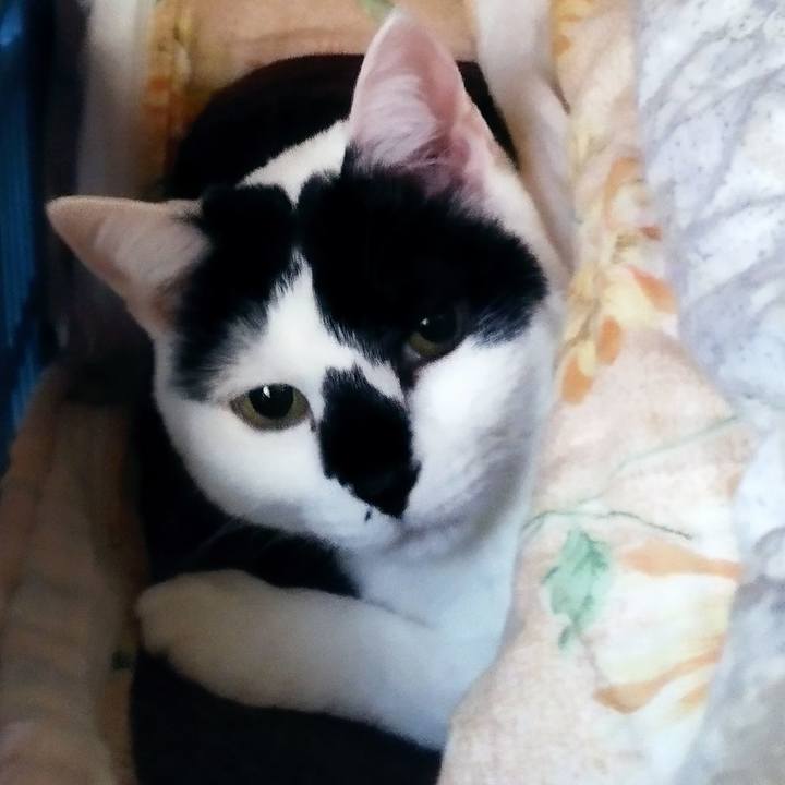 Ed54d698 7ba9 43c7 a5d4 0bd38e45a9e4 1677196876832