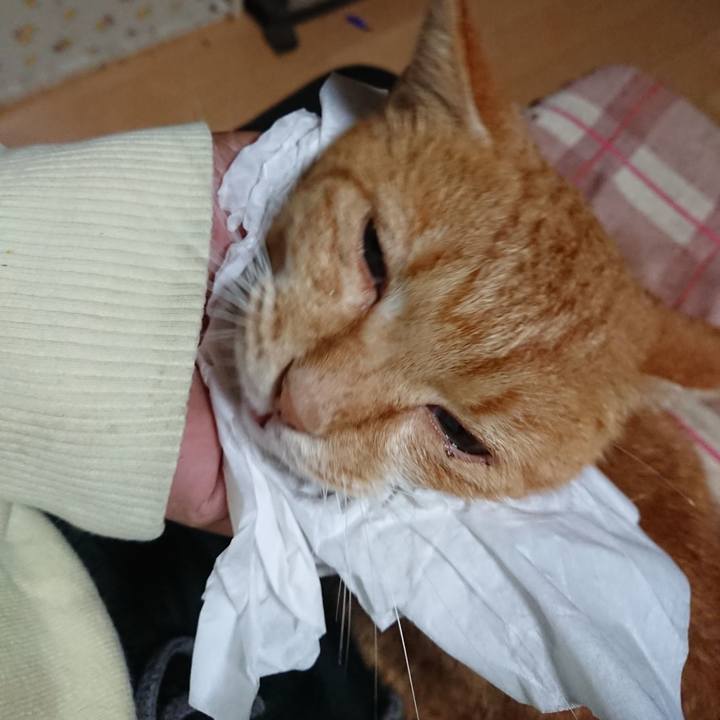 Ed54e4bc 581b 4f63 8406 2bda4ee1d00f 1602101588973