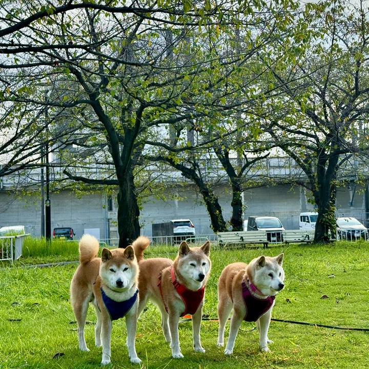 Ed54f1b5 27a5 4a7f b375 27e0994831c9 1759880301274