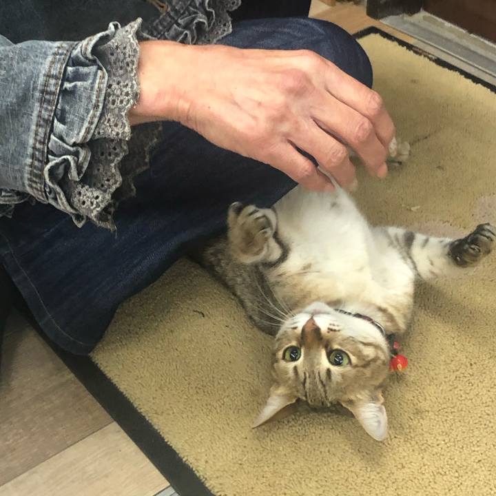 Ed54f94a 2a58 43ec b598 295784850eb5 1618035870125