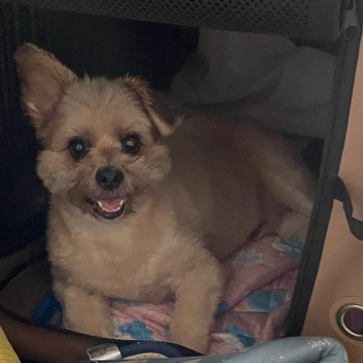 Ed551a0e 20eb 46f7 aa24 9f4c06c3e1a3 1660047354017