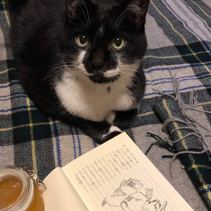 Ed553508 8ac0 4cbf bb62 db92ea59015c 1543582779628