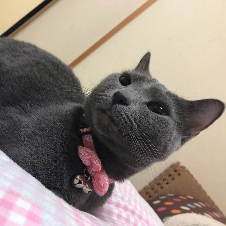 Ed553546 53ff 49af 94ab 92c142738f77 1557497280524