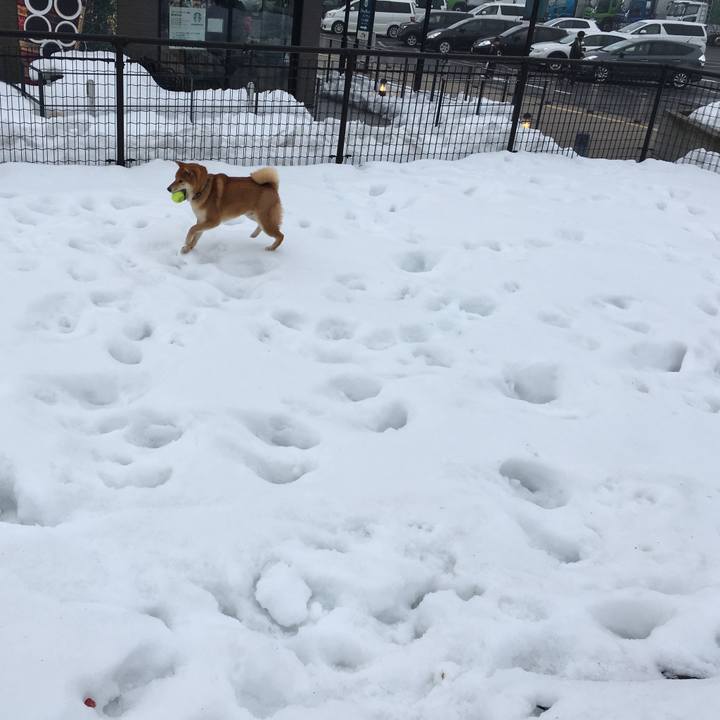 Ed556a90 5a3f 4323 8fb3 6af8c1e623b4 1519637844682