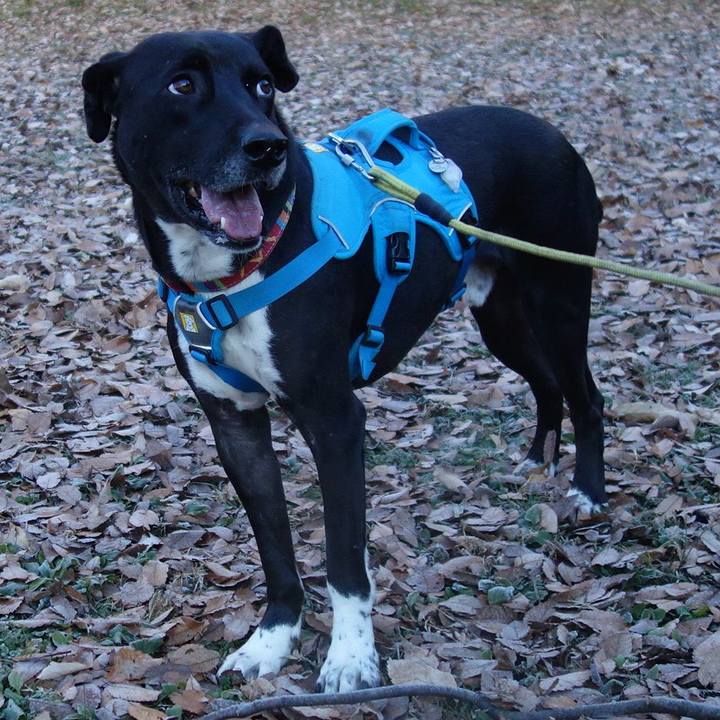 Ed556ebe 5c35 4bf0 aab2 3efa6c36d3f7 1608165954522