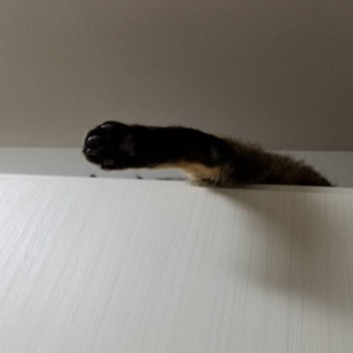 Ed5590d2 2ca3 47c3 8f08 0c20bb1e5401 1622640097407