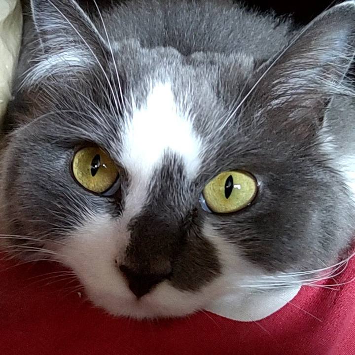 Ed55a917 2191 471f a22e 25c9de64086c 1627204723385