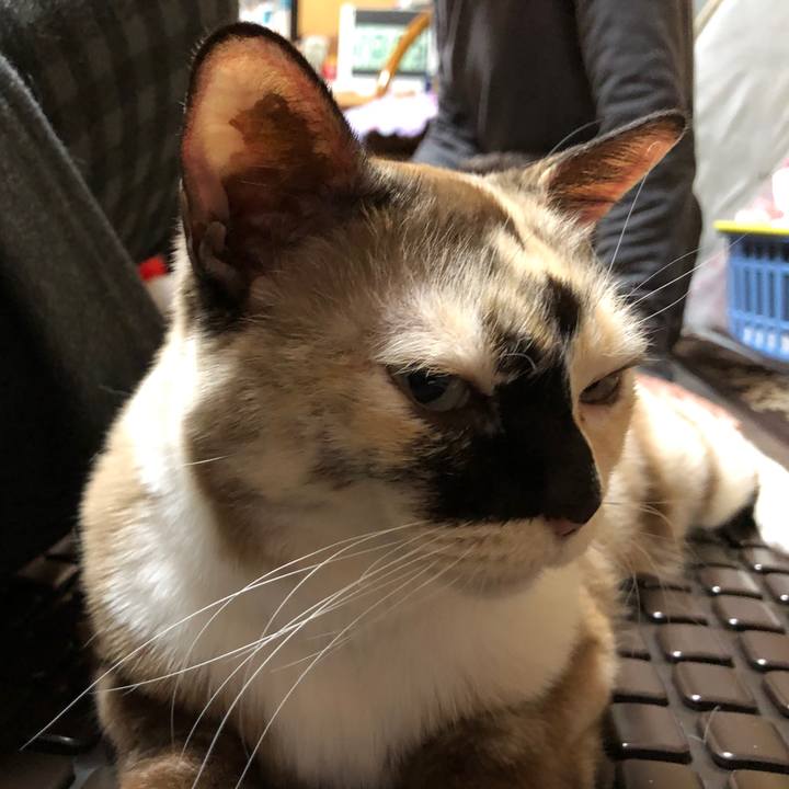 Ed55bab1 0d88 4bf9 8468 e6ceb103defd 1774029988422