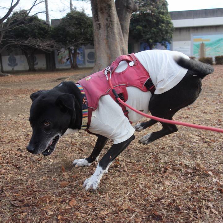 Ed55f6d2 0bb4 4c84 91ea 67f020d3c037 1703638266792