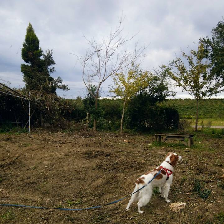 Ed561470 5697 443b 9873 2b6a9f8e4035 1540973636245