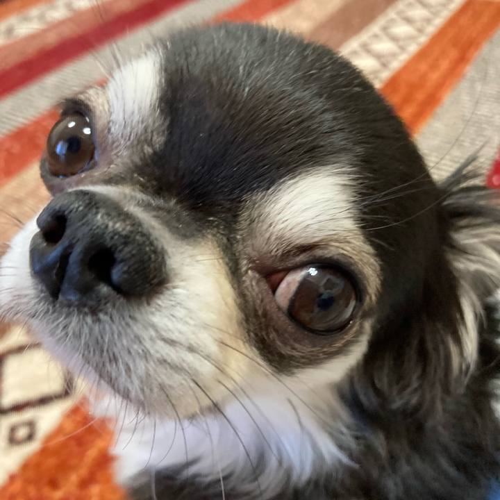 Ed563707 e88e 48a3 886c 94085961c111 1672586111891