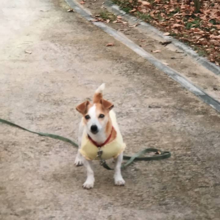 Ed565230 11a7 4015 a04f 42dc8fd233b6 1534829964484