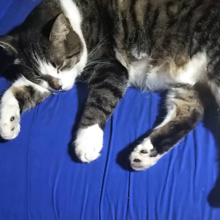 Ed5675aa d6f8 4800 bbb2 5e59d2bcc6fc 1601713739552