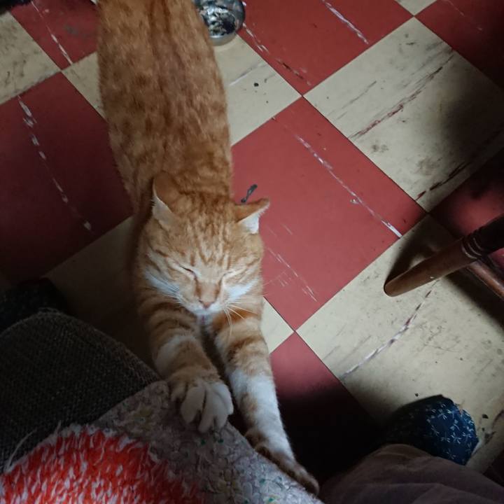 Ed56c046 cdd2 4ee9 9fee 5c931e9f695a 1570354207430