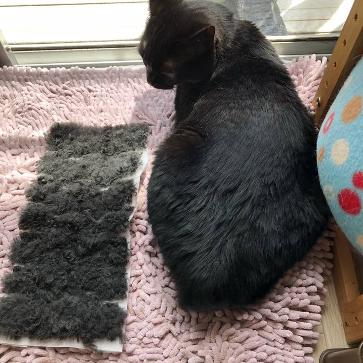 Ed570925 ddac 49d5 9e7e 4c7cef4d2906 1594520770434