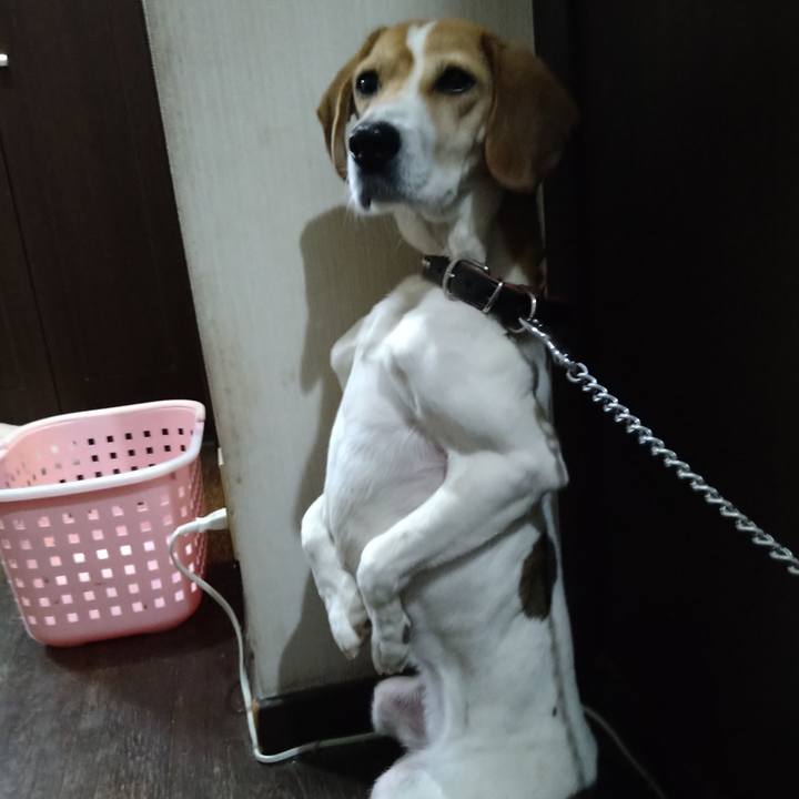 Ed57279d 0f43 4c89 8244 c75917a1b814 1644743152016